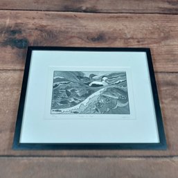 Colin See-Paynton (b.1946) - Framed 20th Century Woodcut, Eider & Cod Numbered Print