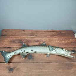Barracuda 35 Inch Full Mount Fish Replica