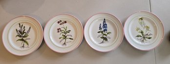 Primula Italy Decorata A Mano Botanical Salad Plates Pink Rim Hand Decorated Set Of 4