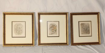 Original Framed Wildflower Etchings By Julian (B-40)