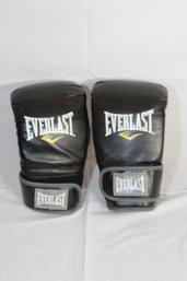 Everlast Boxing Gloves