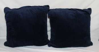 Blue Throw Pillows
