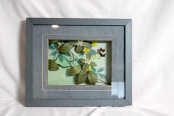 Framed Shadowbox. (N-32)