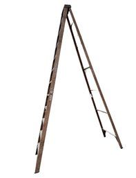 Werner Ladder - 12 Ft Ladder