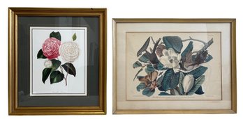 Pair Of Botanical And Ornithological Art Prints (2-Piece Set)