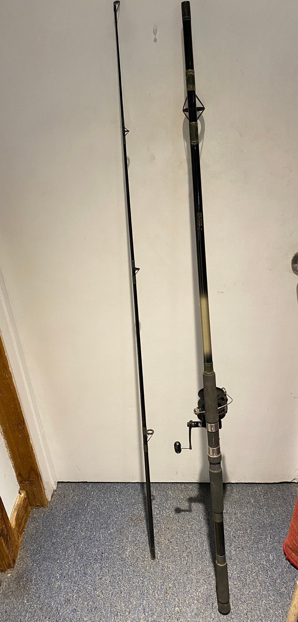 Daiwa Eliminator Model EL29 10ft Medium-heavy 2 Piece Rod With Penn 757 ...