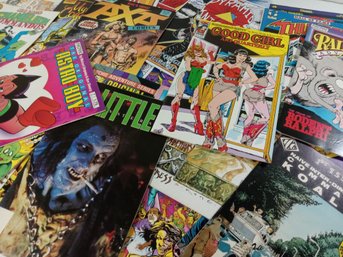 Lot Of 29 Underground/indie Comics Various Publishers