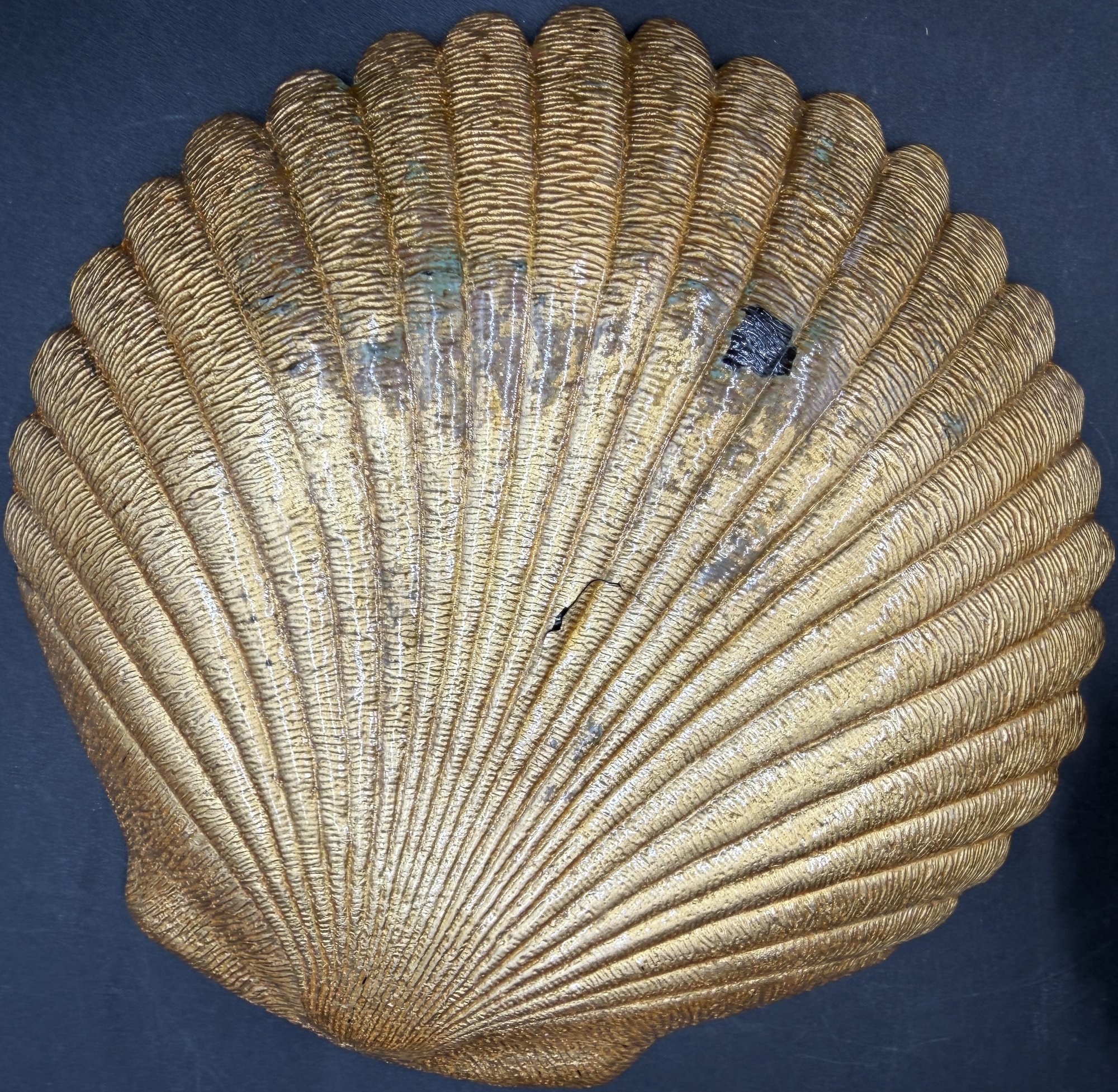 Clam Shell Shaped Glass Plates (K67.P2) #59159 | Auctionninja.com