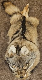 USA Foxx & Furs Grey Fox Fur Mountain Man Style Hat  (R157) (BT1)