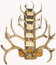 Vintage Antler Wall Art (R183) BT