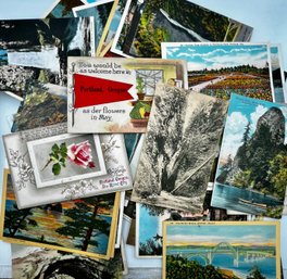 Oregon Post Cards Lot Vintage 120