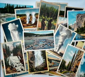 Yellowstone Post Cards Lot