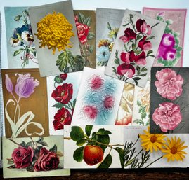 Vintage Floral Postcards Pre 1915