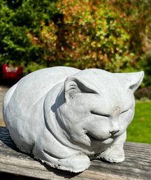 Concrete Fat Cat