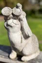 Bird Watching Concrete Cat