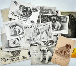 Dog Humor Post Cards Early 1900s