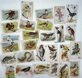 Arm & Hammer And Dwights Soda Collector Cards