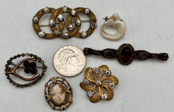 (6) Victorian & Antique Pin Lot