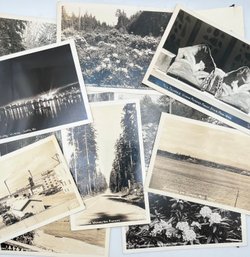 Old Black And White Washington State Photo Post Cards