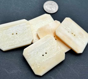 Fossilized Old Large Buttons As Shown