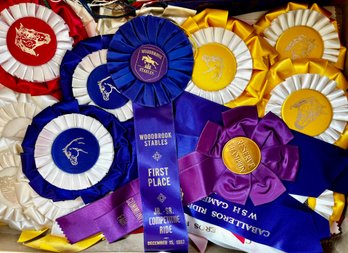 Vintage Horse Show Ribbons Awards 1960s Box Full