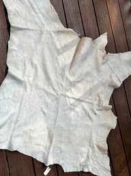 Tanned Hide - Tag Marked Moose