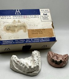 Plaster Cast Teeth Just In Time For Halloween- Create Your Jackolantern