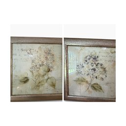 Set Of 2 Framed Botanical Floral Prints – Lilac & Hydrangea By Olson Blum