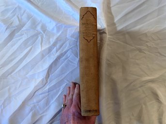 The Macadam Trail By Mary Day Winn, Illustrator E. H. Suydam, 1931. First Edition.