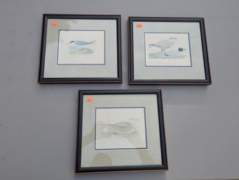 Lot Of 3 Nicely Framed Antique Hand Colored Shorebird Prints