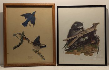 2 Framed Prints - Audobon Blue Birds & Racoon Artist Signed In Pencil By Ray Harm