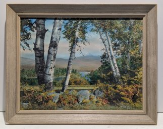 Vintage Sawyer Hand Colored Photograph Mount Chocorua New Hampshire