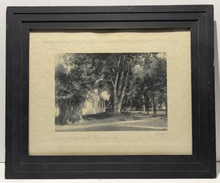 Antique Sawyer Photograph Great Willow Bow Norridgewock Maine