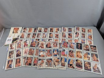 1990s Adult Collector Cards Complete Set Of 100 - Hot Shots Queen Of Hearts Collection