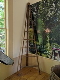 Wonderful Antique Apple Ladder 126' Tall