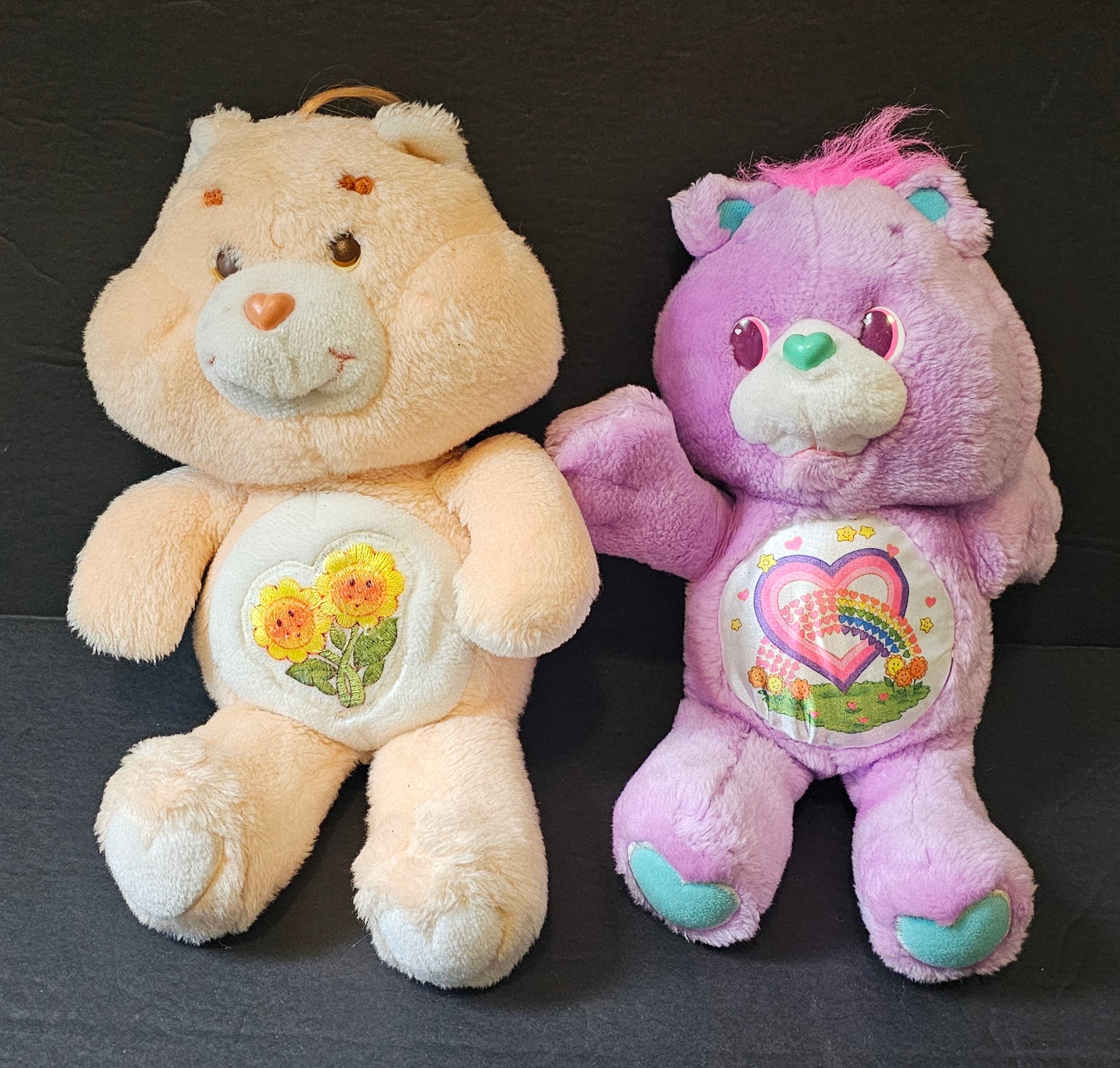 Original Care Bears Friend 1983 And Share Bear 1991 Plush #15732