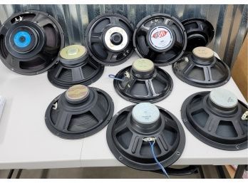 Lot Of Speakers Including Fender, Legend And Alpha Untested