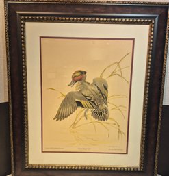 'Green  Winged  Teal' By Athos Menaboni Beautifully  Framed