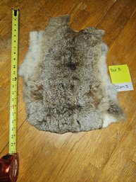Small Unknown Animal Pelt