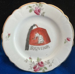 Souvenir Plate, Greenwood China