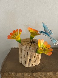 Rare Cholla Cactus Art