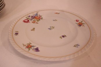12 Vintage Franconia Dinner Plates