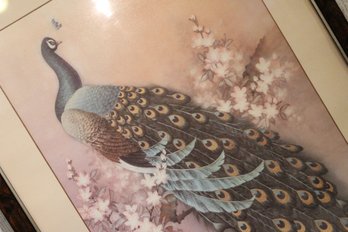 Peacock Print, Wood Frame