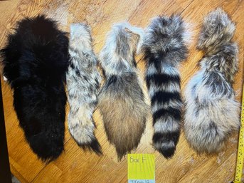 5 Assorted Animal Tails
