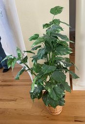 Medium Faux  Plant
