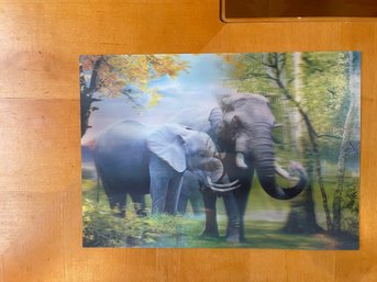 Hologram Of Elephants   13.5 X .9.5