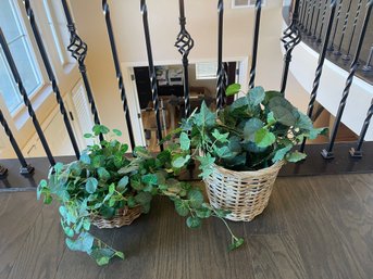 2 Faux Plants, In Baskets