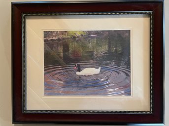 Goose Photo, Framed And Fabric Mat