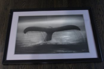 Framed And Matted Print By Robert Wyland's 1989 Sea Of Stars Whale Tale 26.5 X 38.5