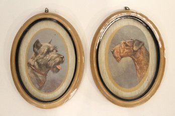 Vintage Dog Portraits